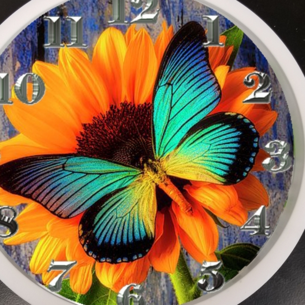Butterfly